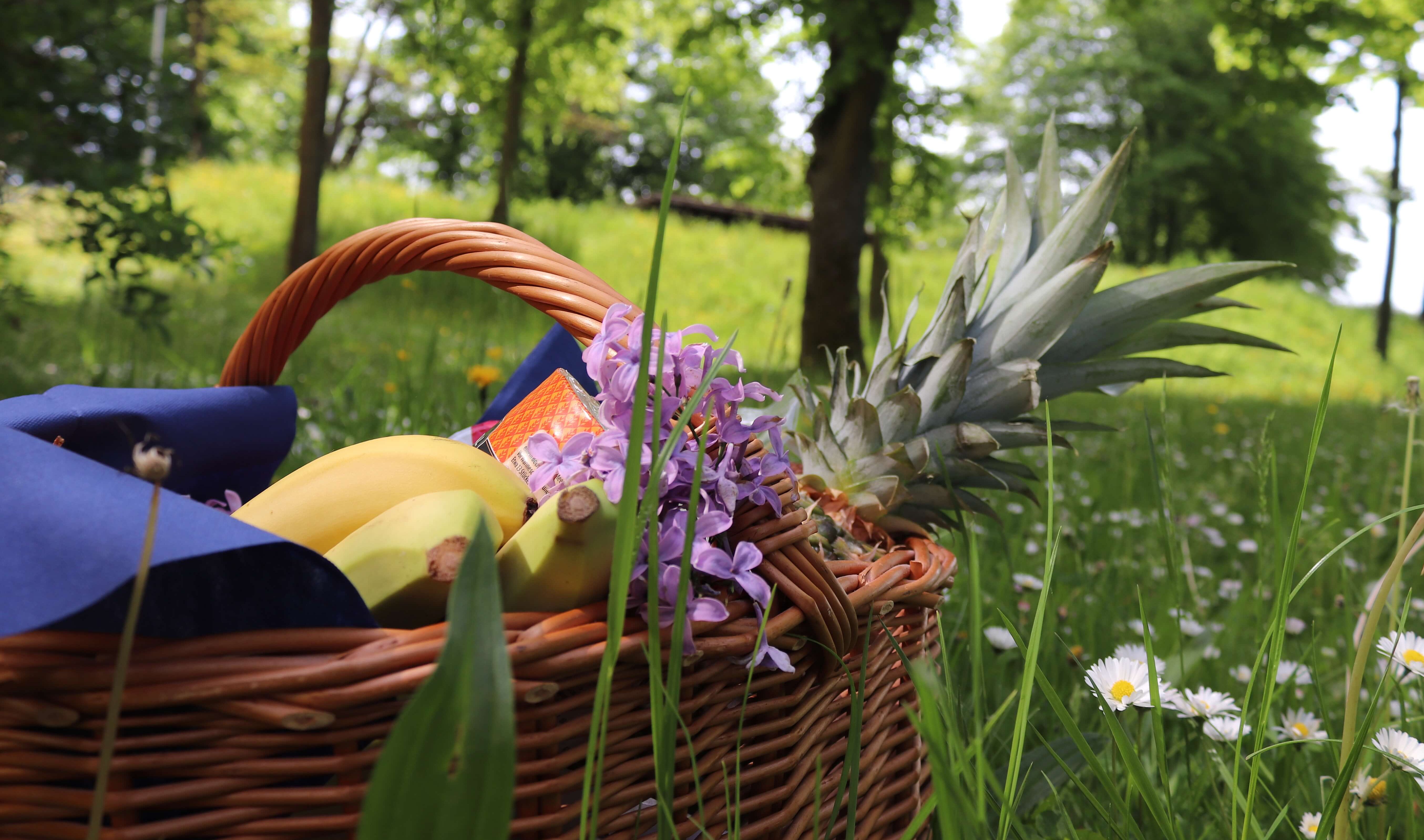 Obstkorb in blühender Blumenwiese am Bezirkskrankenhaus Bayreuth