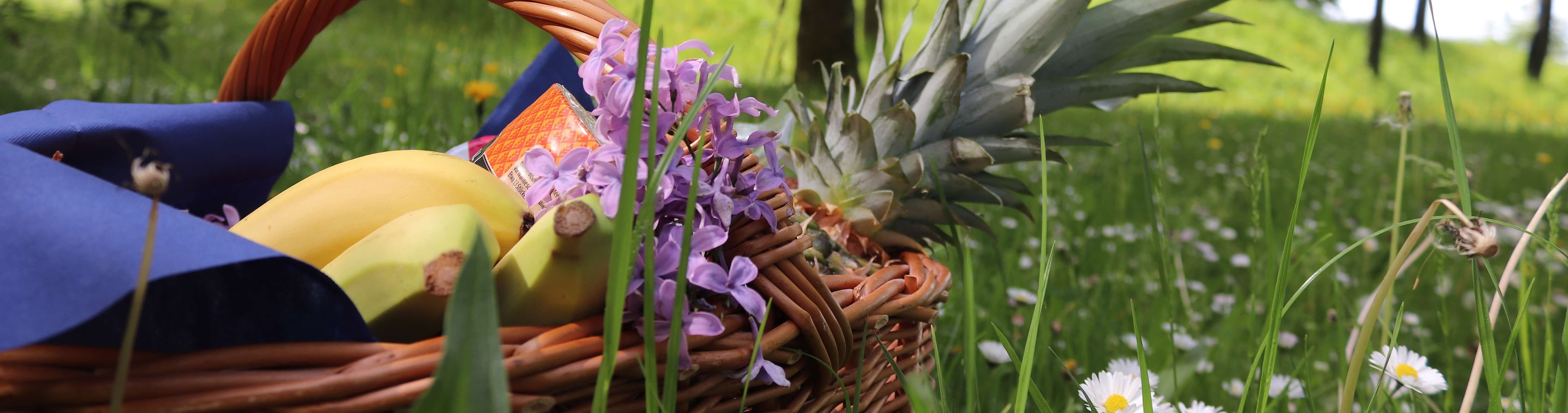 Obstkorb in blühender Blumenwiese am Bezirkskrankenhaus Bayreuth